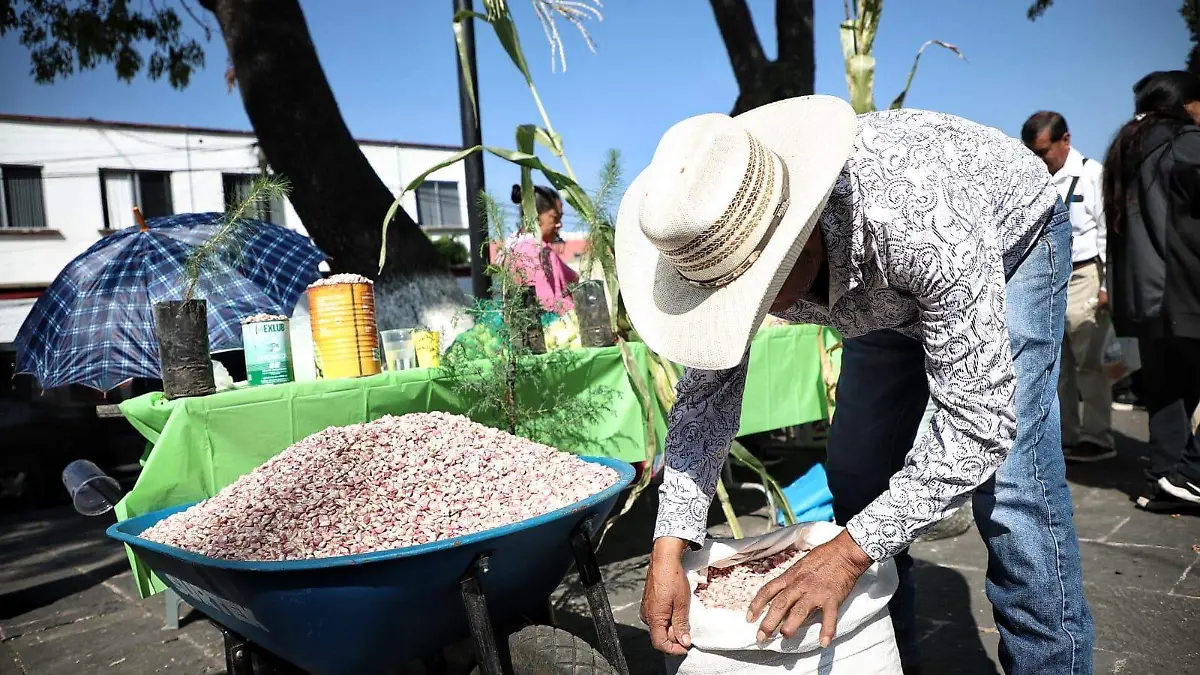 Tianguis Campesino 2